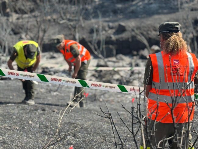 Identificados 21 presuntos autores de los incendios forestales intencionados de este verano