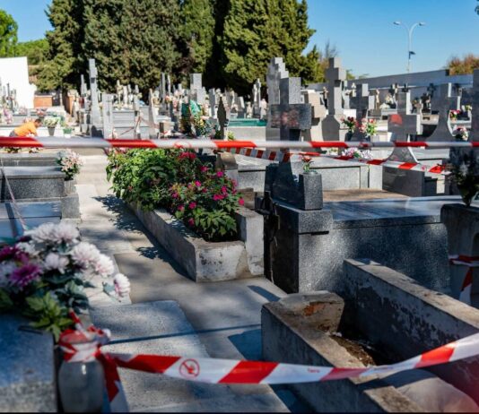 San Fernando de Henares mejora el cementerio de Nazario Calonge con obras de adecuación - imagen 1