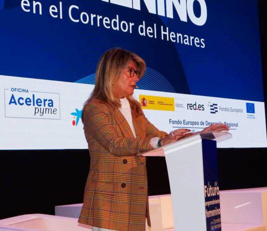 AEDHE pide estabilidad institucional ante las elecciones y cuestiona la huelga general - imagen 1
